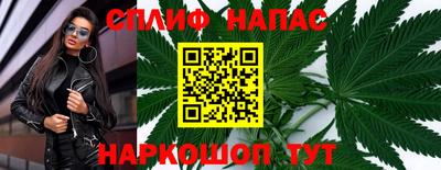 индика Пенза