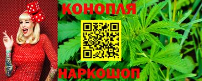 индика Пенза