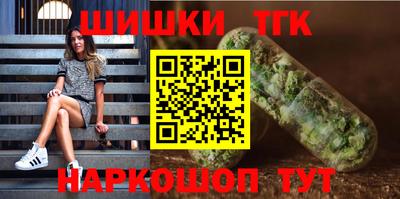 индика Пенза