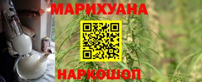 индика Пенза