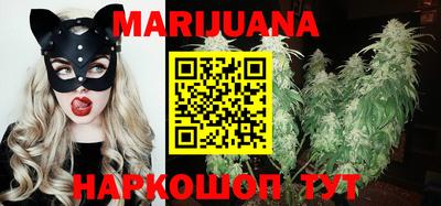 индика Пенза