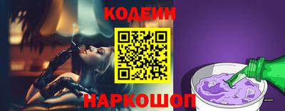индика Пенза