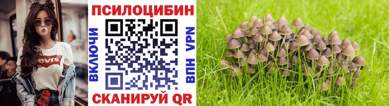 наркота  Туймазы  Галлюциногенные грибы Psilocybine cubensis 