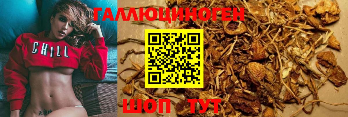 Галлюциногенные грибы Magic Shrooms  Вход с VPN  Туймазы 