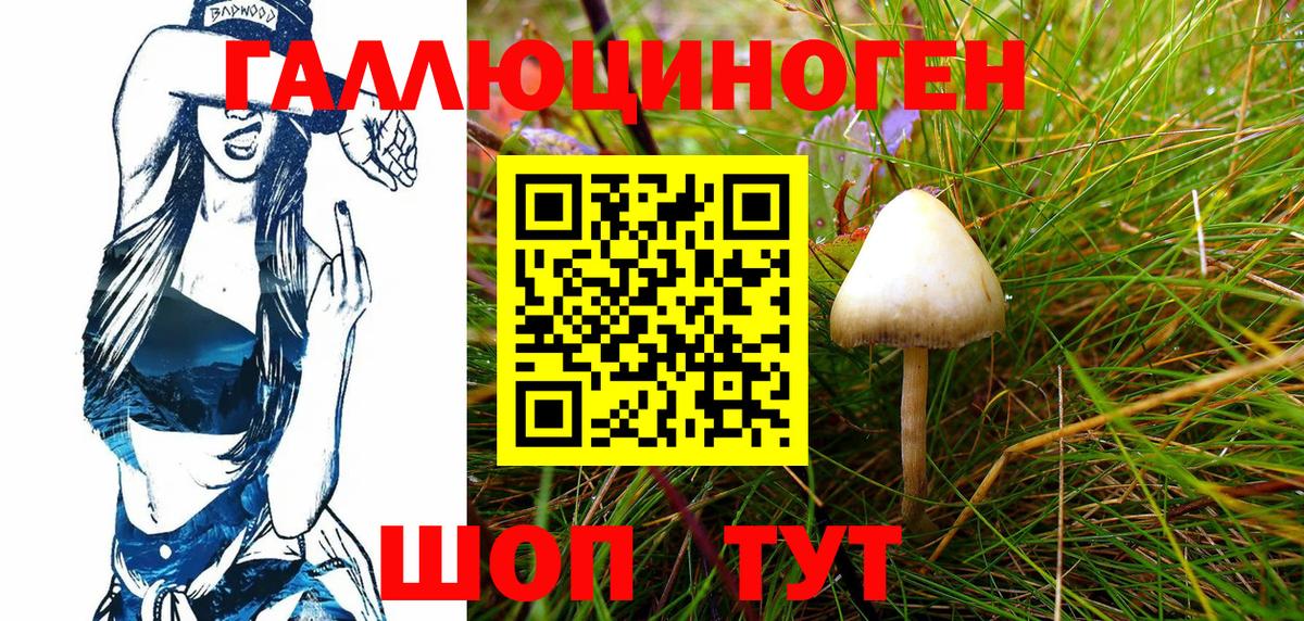 Псилоцибиновые грибы мухоморы Туймазы