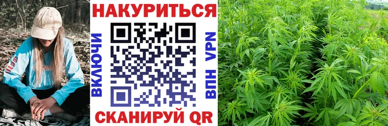 Конопля сатива  цены   Туймазы 